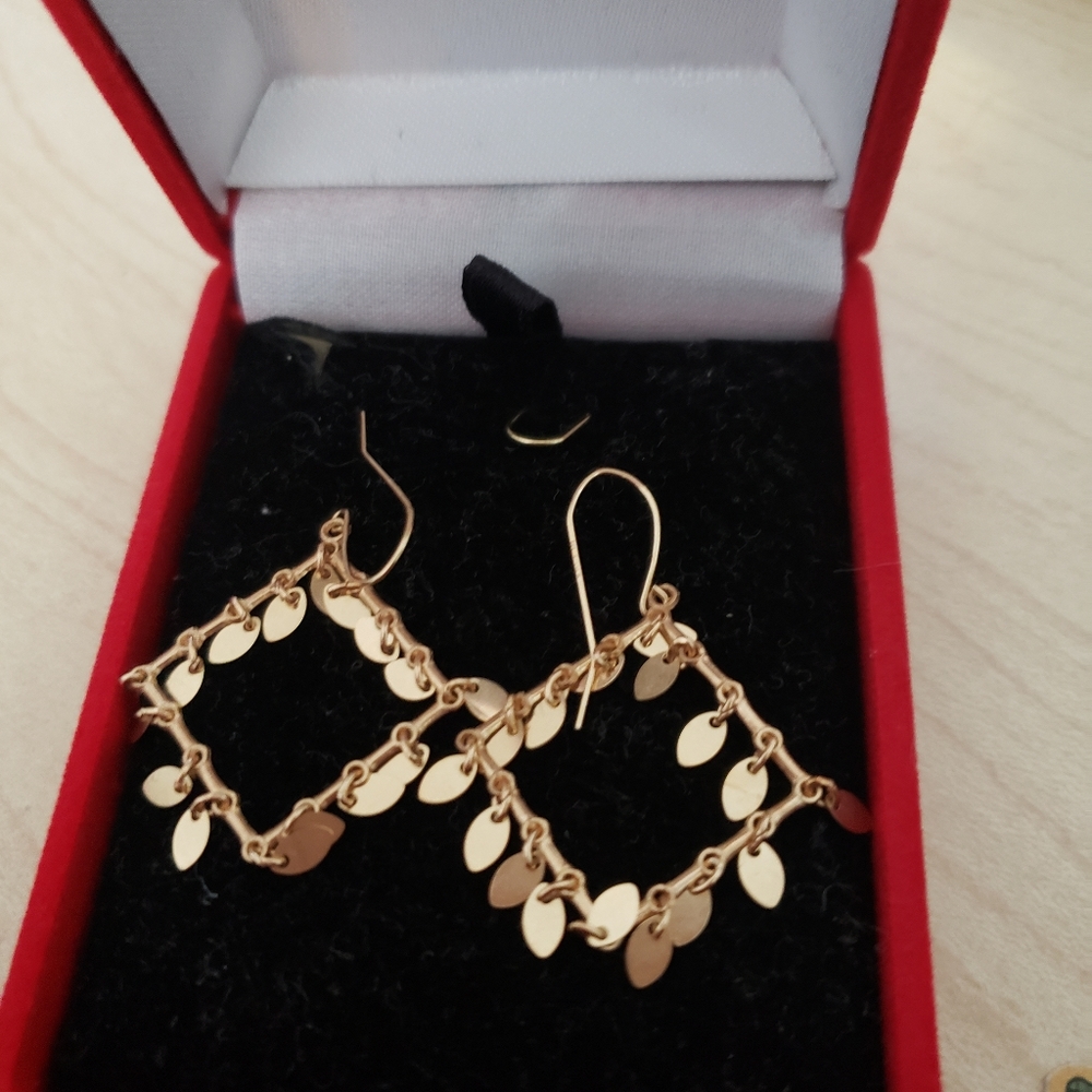 Elegant Gold Dangle Earrings